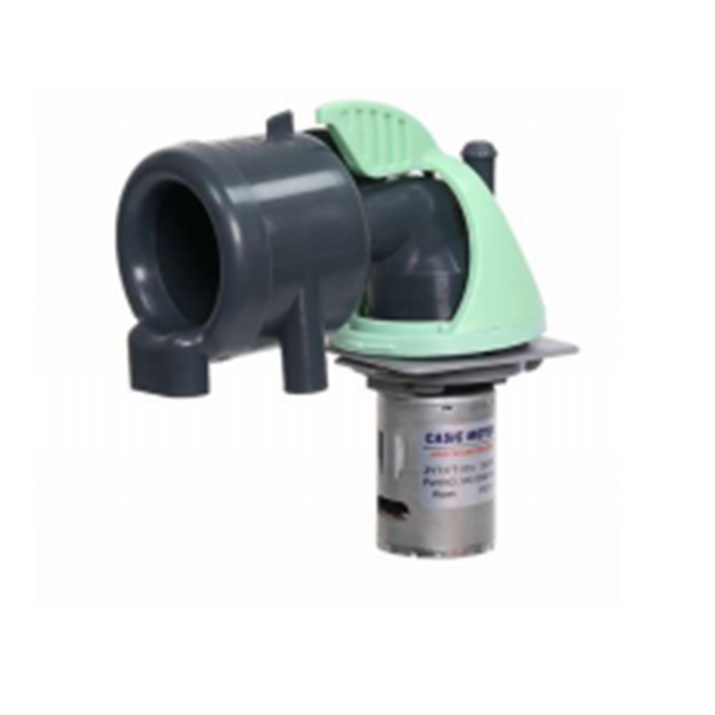 43Моторная система