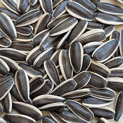 Семечки подсолнечника 363 товар