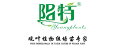 ООО Фошань Саньшуй Молодые Растения